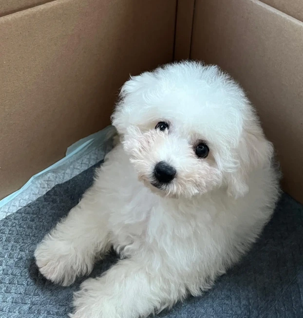 marnie