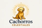 Cachorros celestiales